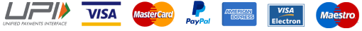UPI, Visa, Mastercard, PayPal, American Express, Visa Electron, and Maestro accepted